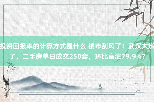 投资回报率的计算方式是什么 楼市刮风了！武汉太燃了，二手房单日成交250套，环比高涨79.9%？