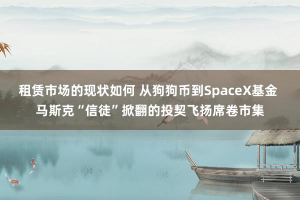 租赁市场的现状如何 从狗狗币到SpaceX基金 马斯克“信徒”掀翻的投契飞扬席卷市集