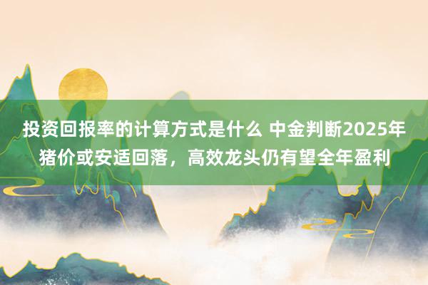 投资回报率的计算方式是什么 中金判断2025年猪价或安适回落，高效龙头仍有望全年盈利