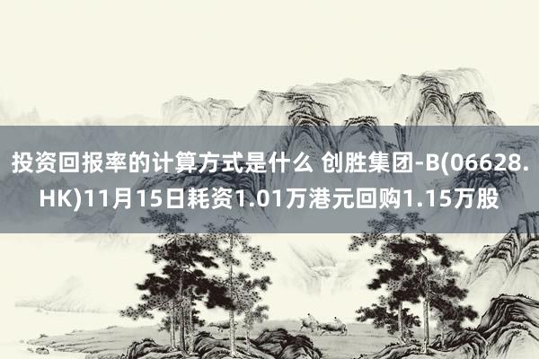 投资回报率的计算方式是什么 创胜集团-B(06628.HK)11月15日耗资1.01万港元回购1.15万股