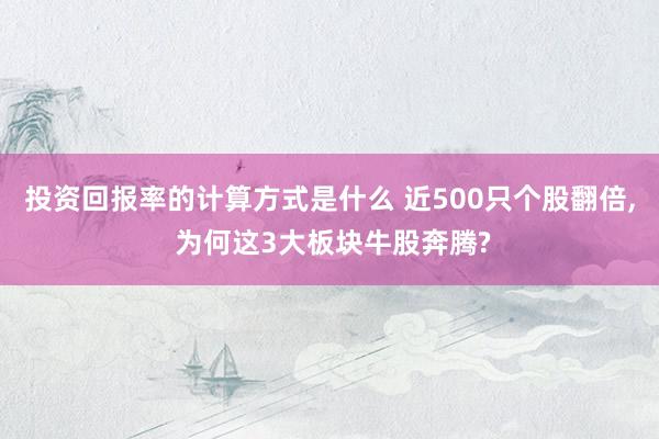 投资回报率的计算方式是什么 近500只个股翻倍, 为何这3大板块牛股奔腾?