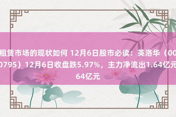 租赁市场的现状如何 12月6日股市必读：英洛华（000795）12月6日收盘跌5.97%，主力净流出1.64亿元