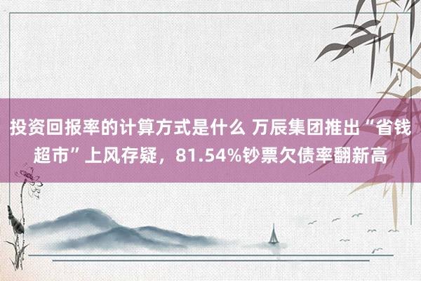 投资回报率的计算方式是什么 万辰集团推出“省钱超市”上风存疑，81.54%钞票欠债率翻新高