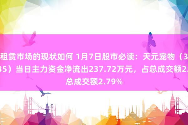 租赁市场的现状如何 1月7日股市必读：天元宠物（301335）当日主力资金净流出237.72万元，占总成交额2.79%