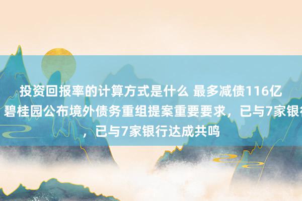 投资回报率的计算方式是什么 最多减债116亿好意思元，碧桂园公布境外债务重组提案重要要求，已与7家银行达成共鸣