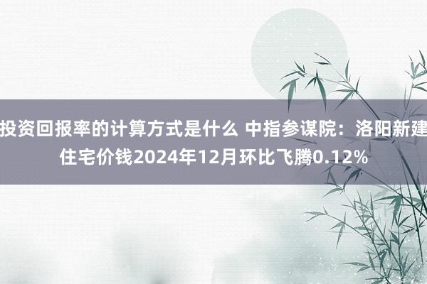 投资回报率的计算方式是什么 中指参谋院：洛阳新建住宅价钱2024年12月环比飞腾0.12%