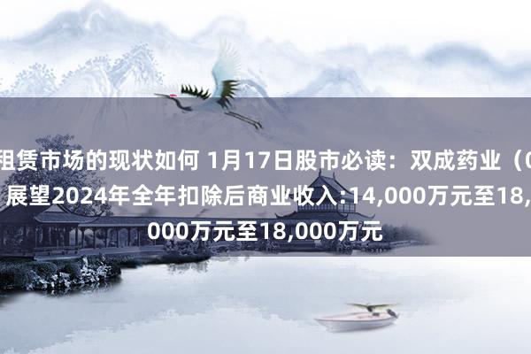 租赁市场的现状如何 1月17日股市必读：双成药业（002693）展望2024年全年扣除后商业收入:14,000万元至18,000万元