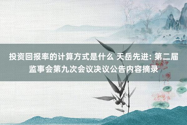 投资回报率的计算方式是什么 天岳先进: 第二届监事会第九次会议决议公告内容摘录