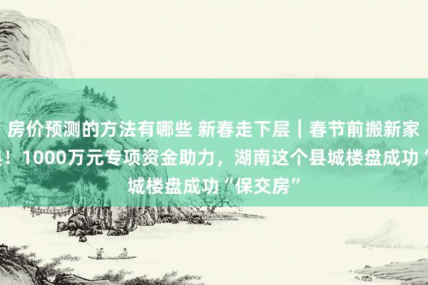 房价预测的方法有哪些 新春走下层︱春节前搬新家、办婚典！1000万元专项资金助力，湖南这个县城楼盘成功“保交房”