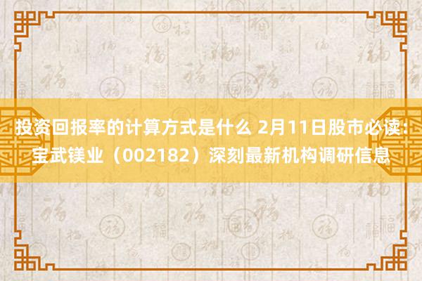 投资回报率的计算方式是什么 2月11日股市必读：宝武镁业（002182）深刻最新机构调研信息