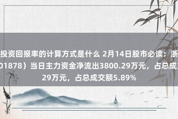 投资回报率的计算方式是什么 2月14日股市必读：浙商证券（601878）当日主力资金净流出3800.29万元，占总成交额5.89%