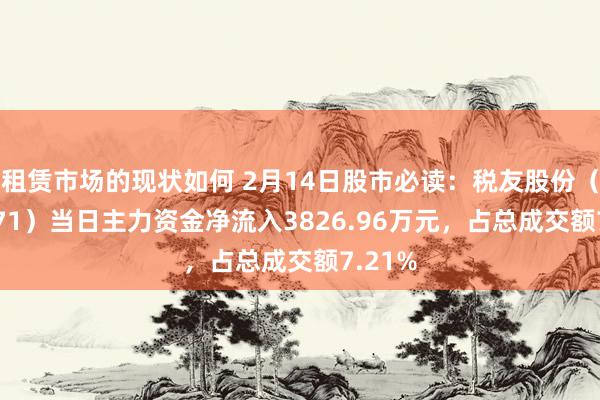 租赁市场的现状如何 2月14日股市必读：税友股份（603171）当日主力资金净流入3826.96万元，占总成交额7.21%