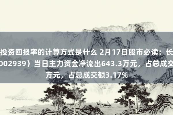 投资回报率的计算方式是什么 2月17日股市必读：长城证券（002939）当日主力资金净流出643.3万元，占总成交额3.17%