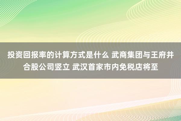 投资回报率的计算方式是什么 武商集团与王府井合股公司竖立 武汉首家市内免税店将至