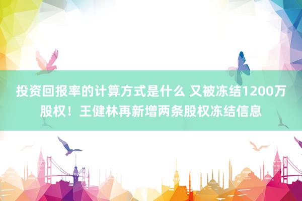 投资回报率的计算方式是什么 又被冻结1200万股权！王健林再新增两条股权冻结信息