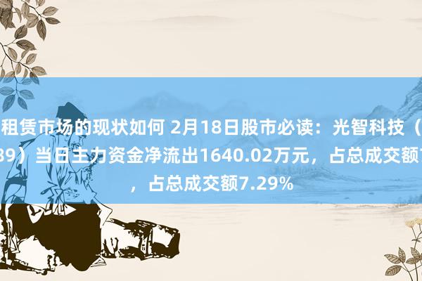 租赁市场的现状如何 2月18日股市必读：光智科技（300489）当日主力资金净流出1640.02万元，占总成交额7.29%