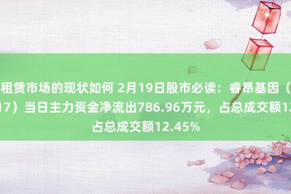 租赁市场的现状如何 2月19日股市必读：睿昂基因（688217）当日主力资金净流出786.96万元，占总成交额12.45%