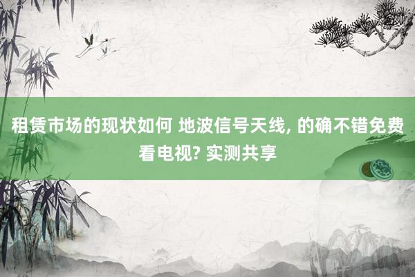 租赁市场的现状如何 地波信号天线, 的确不错免费看电视? 实测共享