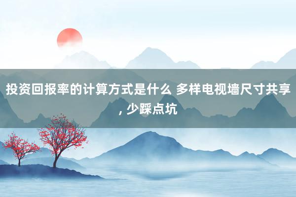 投资回报率的计算方式是什么 多样电视墙尺寸共享, 少踩点坑