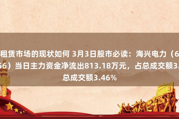 租赁市场的现状如何 3月3日股市必读：海兴电力（603556）当日主力资金净流出813.18万元，占总成交额3.46%