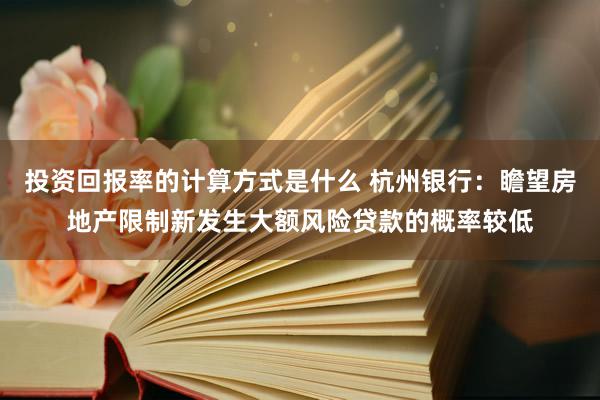 投资回报率的计算方式是什么 杭州银行：瞻望房地产限制新发生大额风险贷款的概率较低