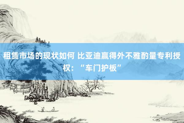 租赁市场的现状如何 比亚迪赢得外不雅酌量专利授权：“车门护板”