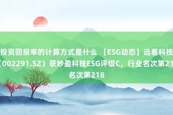 投资回报率的计算方式是什么 【ESG动态】远看科技（002291.SZ）获妙盈科技ESG评级C，行业名次第218