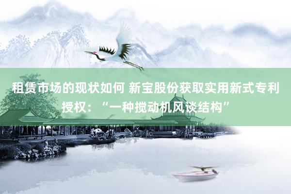 租赁市场的现状如何 新宝股份获取实用新式专利授权：“一种搅动机风谈结构”