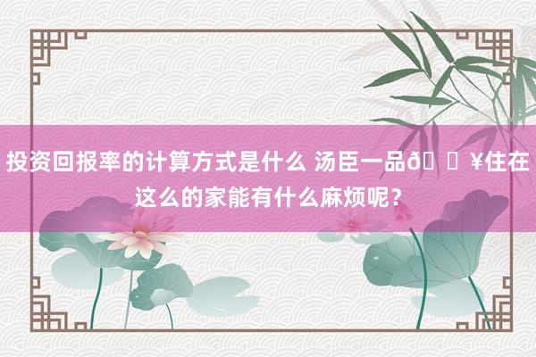 投资回报率的计算方式是什么 汤臣一品🔥住在这么的家能有什么麻烦呢？